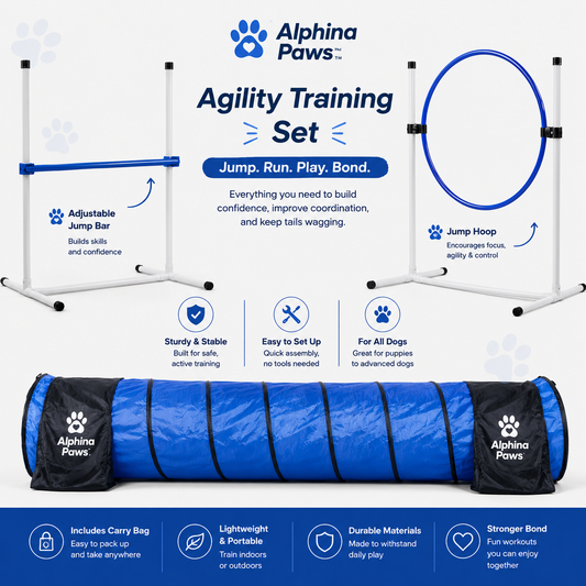 tailsandlove  Agility Training Set